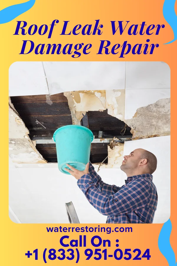 Roof Leak Water Damage Repair in Berlin, GA